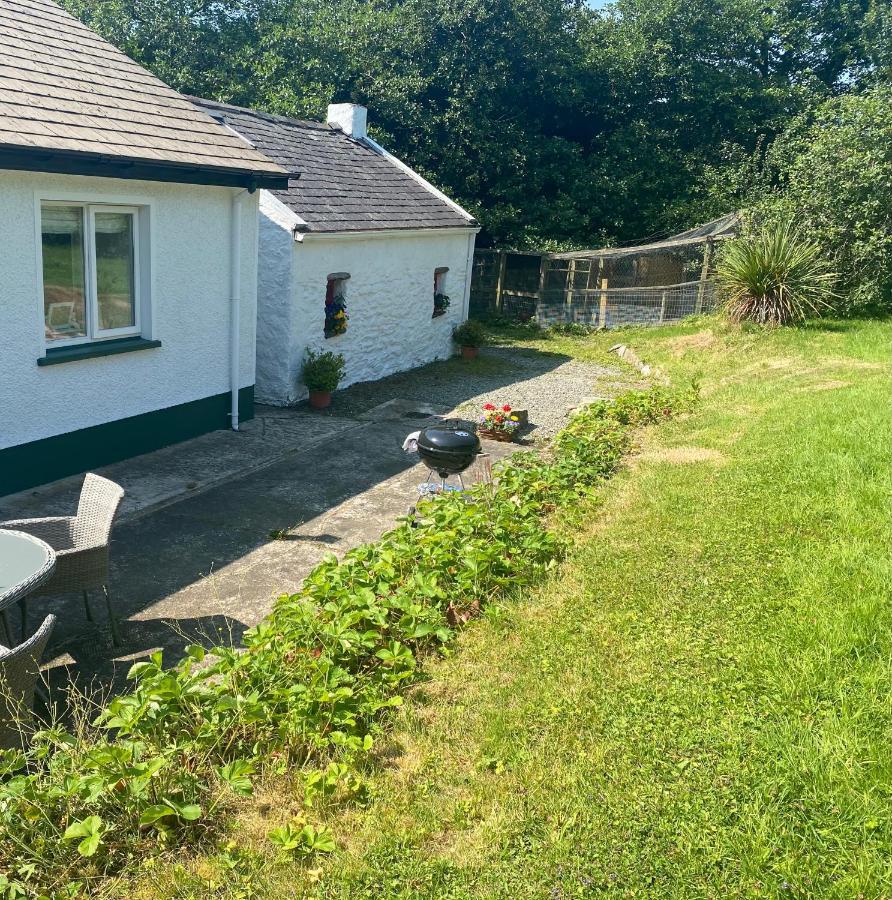 Hawthorn Cottage Greencastle  Exteriör bild